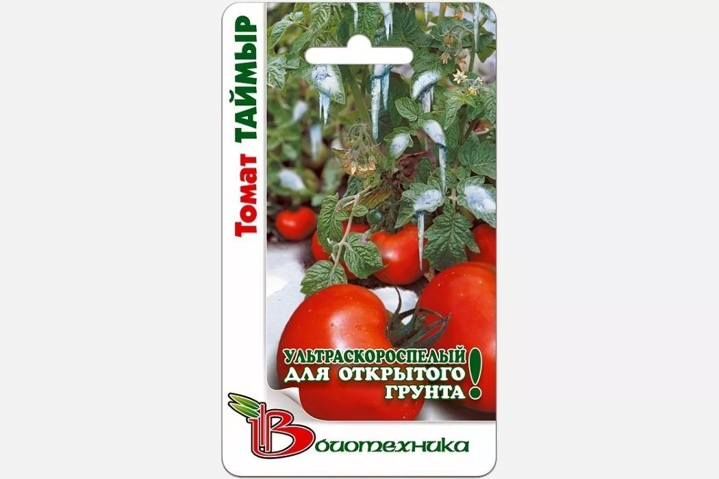 Томат Таймыр: описание сорта помидоров, характеристики, посадка и выращивание, болезни и вредители, отзывы | Садоводство
