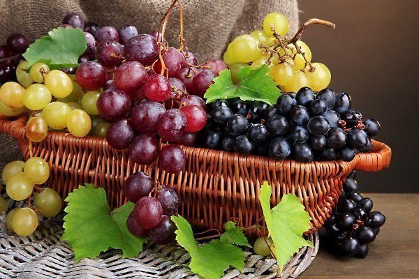 Столовые сорта винограда: описание, фото, их достоинства и недостатки