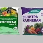 Суперфосфат и селитра калиевая