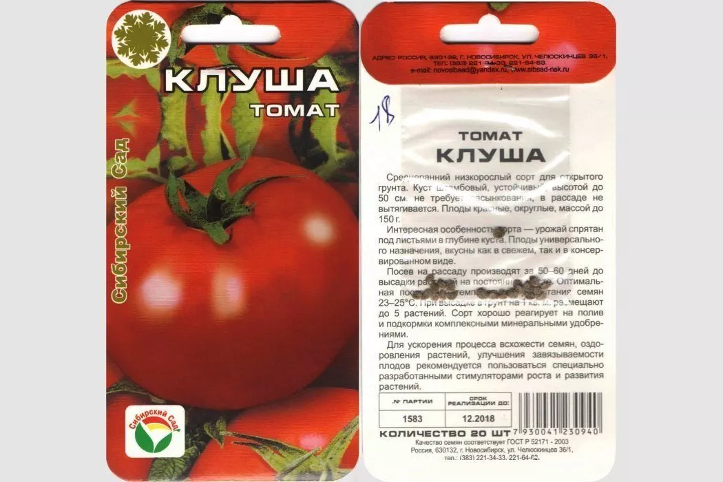 Посадка и выращивание томата Супер клуша