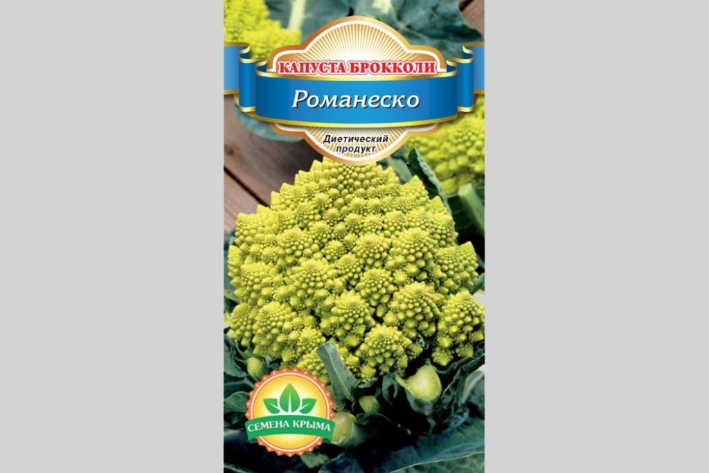 Капуста Романеско: описание, виды, посадка и выращивание