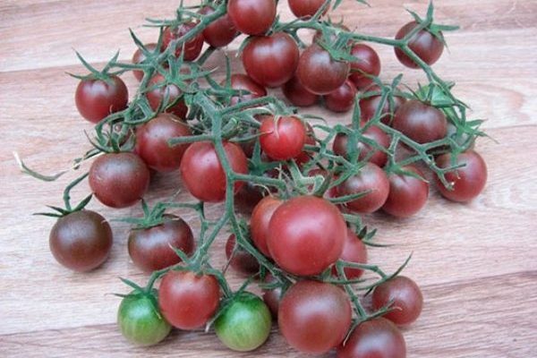chernaja-vishnia-tomat.jpg