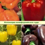 Оттенки перца Калифорнийское чудо