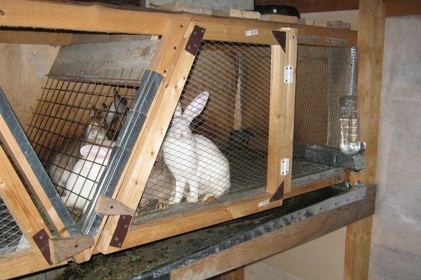 Клетка для кроликов из дерева