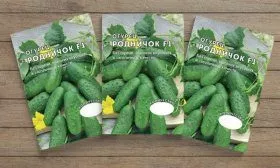 Семена огурца Родничок