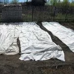 Пленка на огуречной грядке