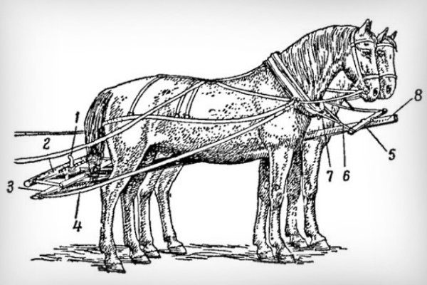 Как собственноручно запрягать коня в повозку и строить телегу для лошади