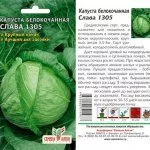 Семена сорта капусты Слава 1305