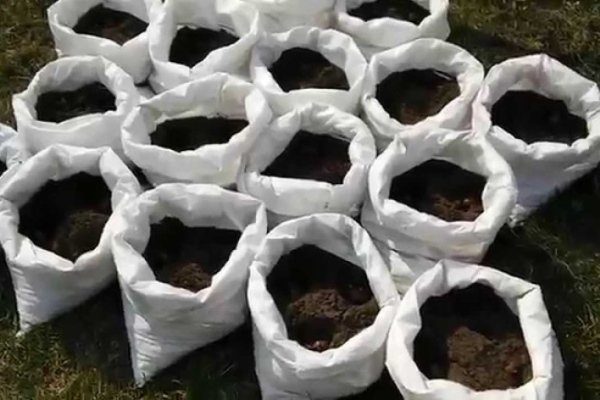 Мешки с почвой для посадки огурцов