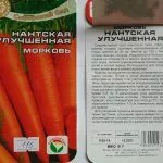 Нантская улучшенная