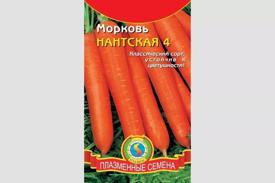 Морковь Нантская 4: описание и характеристики сорта, правила посадки и выращивания, отзывы