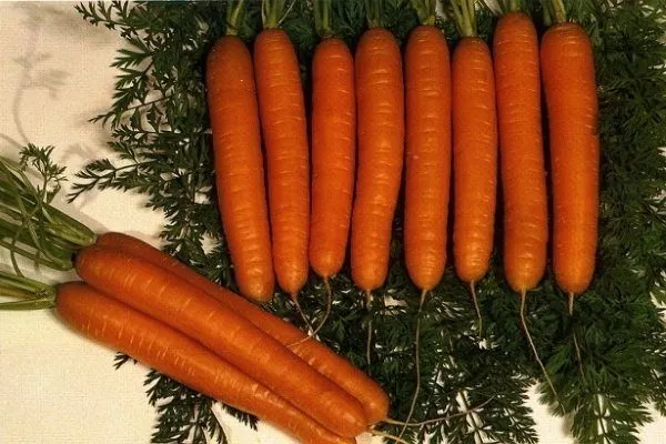 Морковь Несравненная
