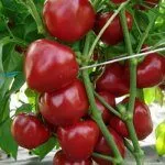 Перец Конфетка