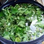 Удобрение из крапивы