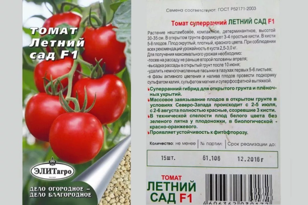 Томат Момент: описание сорта помидоров, характеристики, посадка и выращивание