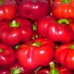 Перец Оленька