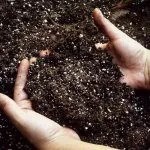 Удобрение грунта