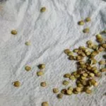 Семена перца