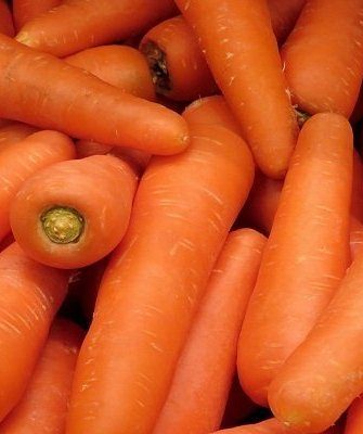 Морковь канада