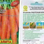 Нантская красная