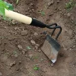 Окучивание помидор