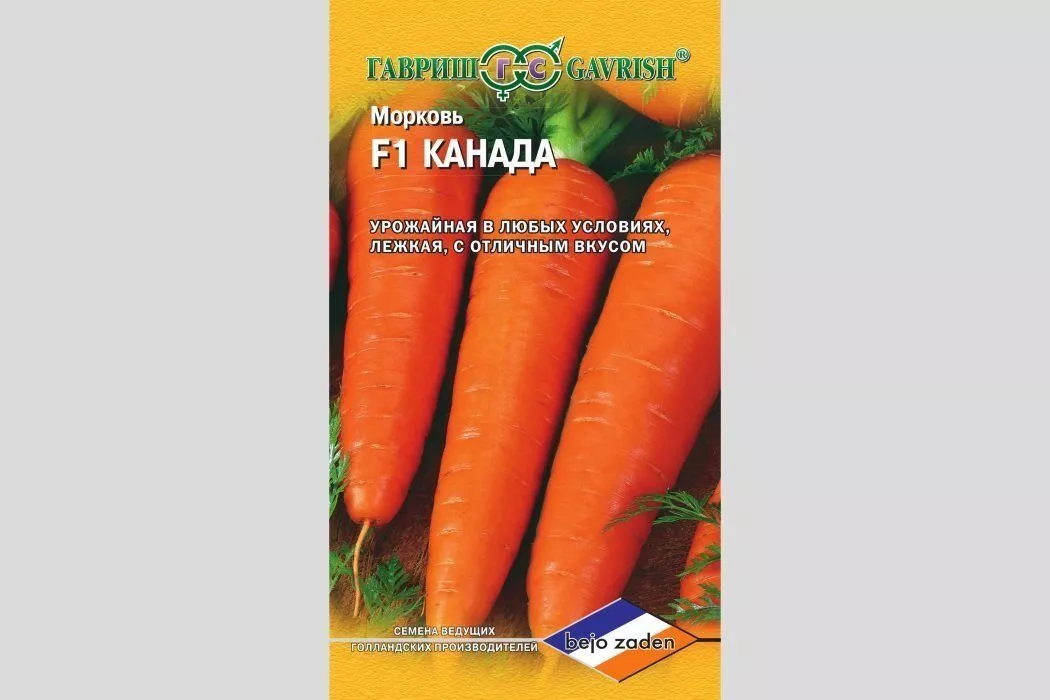 Лучшие сорта моркови для Подмосковья: характеристики, фото и выращивание
