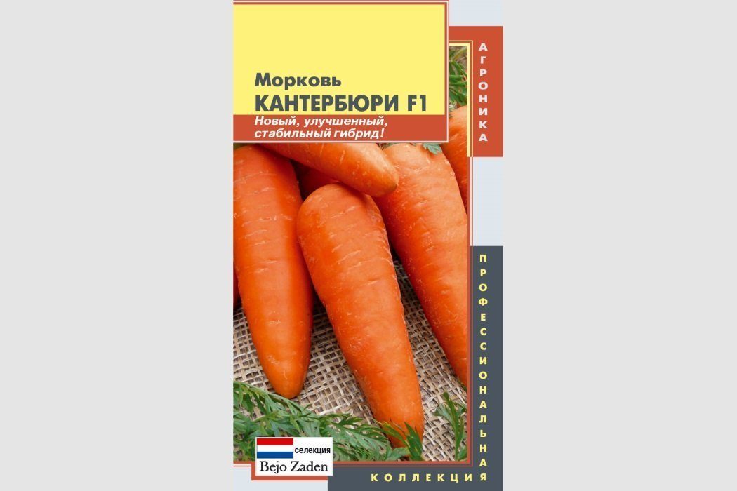 Когда сеять морковь в открытый грунт в Подмосковье и Как сажать морковь под зиму, чтобы получить обильный урожай в начале лета?