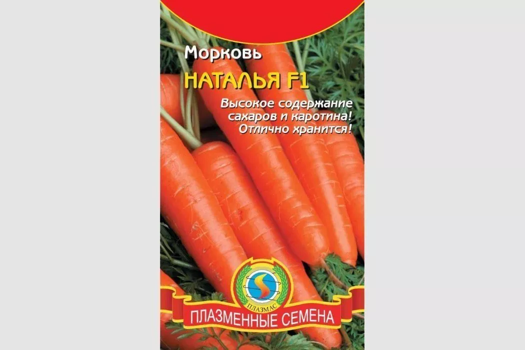 Лучшие сорта моркови для Подмосковья: характеристики, фото и выращивание