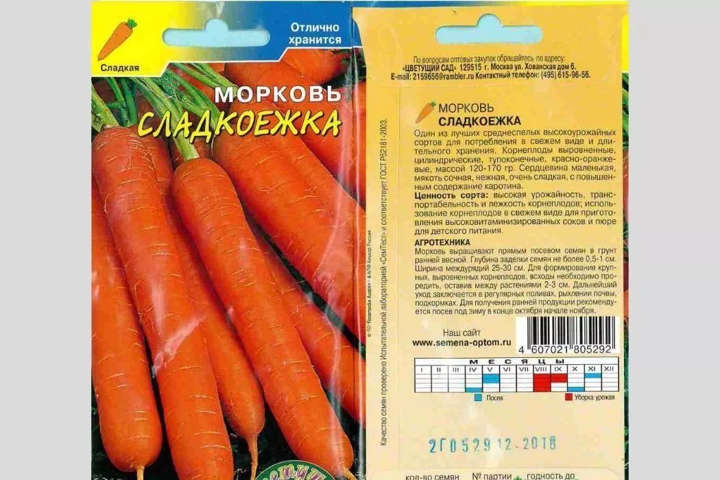 Способы посадки Моркови Неженка