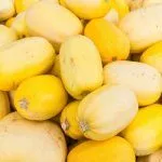 Урожай тыквы Спагетти