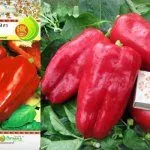 Перец Атлант F1