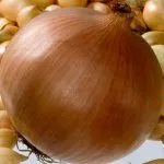 Лук Коррадо