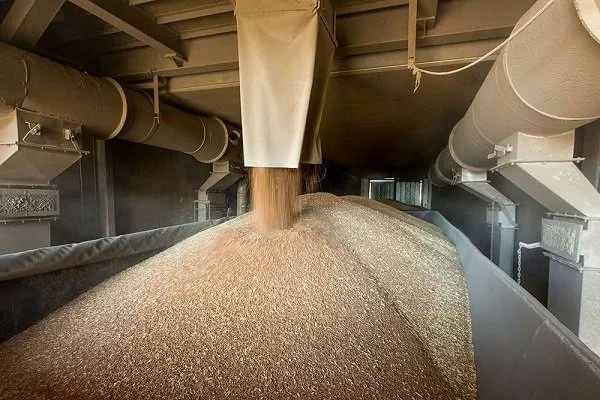 Хранилища зерна