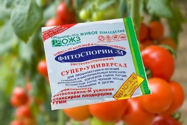 Фитоспорин-М для обработки томатов