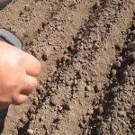 Посев семян