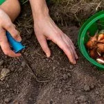 Подготовка почвы