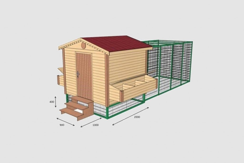 Проект курятника на 20 кур с выгулом