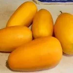 Кабачок Спагетти