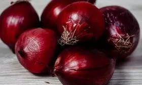 Луковый сорт Кармен