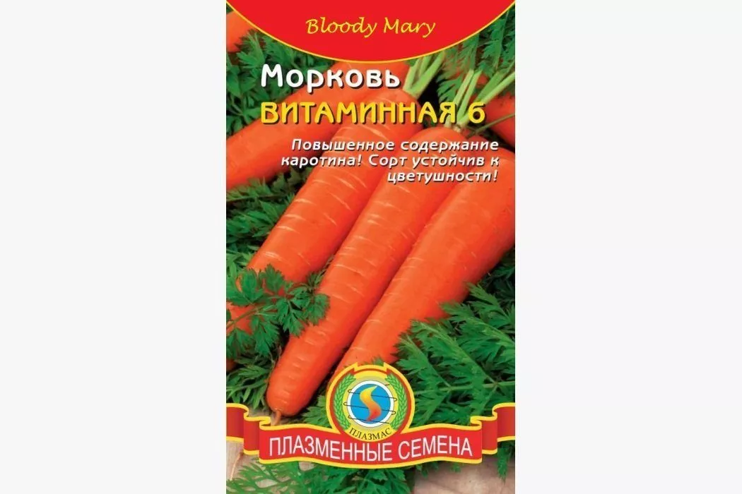 Посадка моркови осенью под зиму: сроки, подготовка грунта, посев семян
