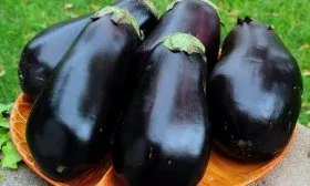 Черный красавец