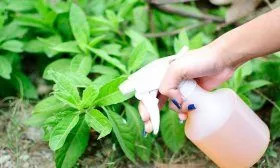 Опрыскивание