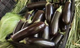 Хранение баклажан