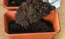 Подготовка грунта для рассады