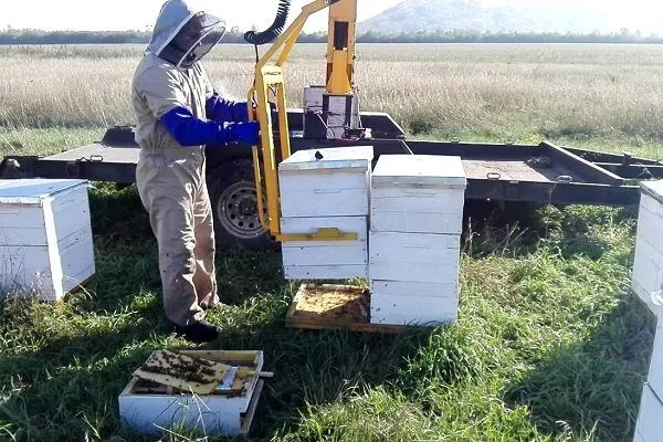 Бесплатный фрагмент - Кочевое пчеловодство