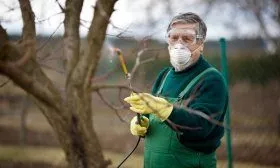 Опрыскивание растения