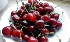 Вишня Жуковская