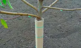 Утепление дерева