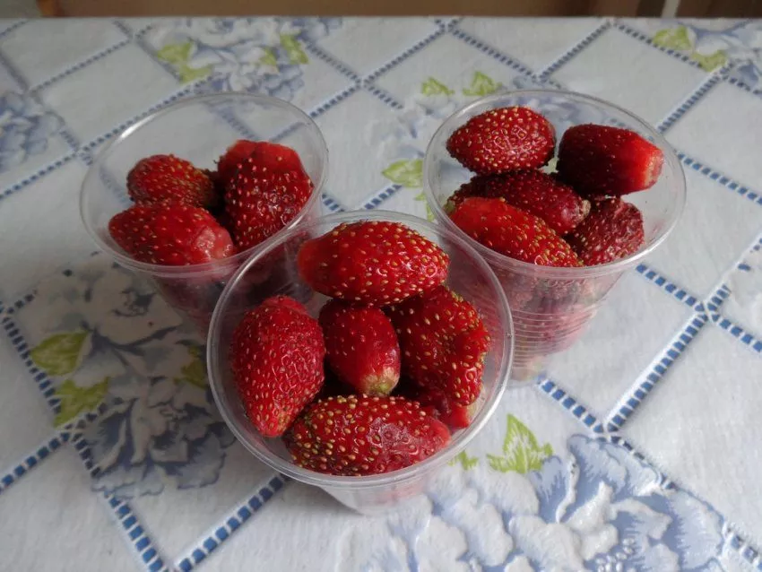 Самый легкий способ заготовки овощей, фруктов и ягод - заморозка