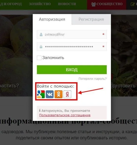 Вход на сайт через социальные сети